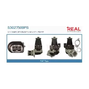 REAL 53027500PS