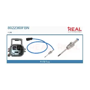 8022360FBN REAL