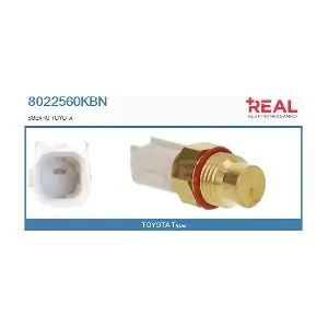 8022560KBN REAL