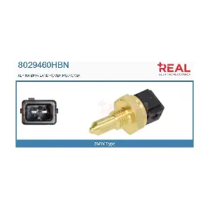 8029460HBN REAL