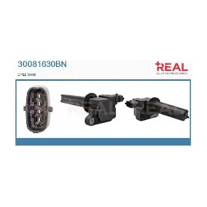 30081630BN REAL
