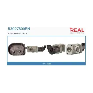 53027800BN REAL