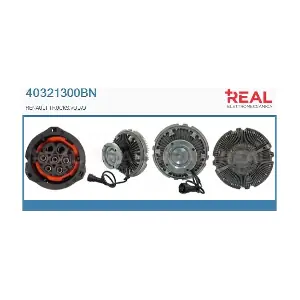 40321300BN REAL