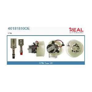 40181810OE REAL