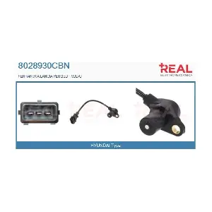 8028930CBN REAL