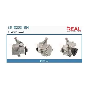 36182031BN REAL