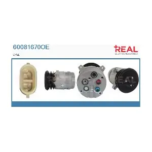 60081670OE REAL