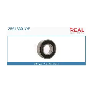 REAL 25613301OE