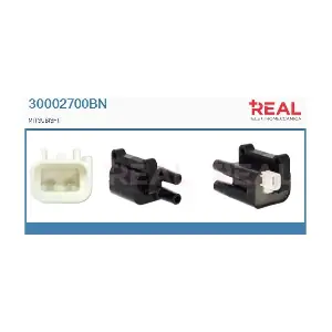 30002700BN REAL
