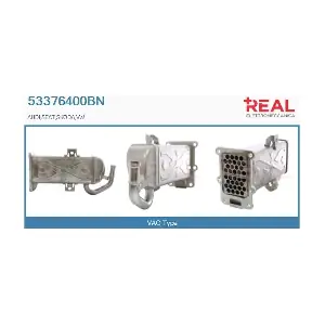 REAL 53376400BN