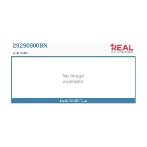 29290600BN REAL