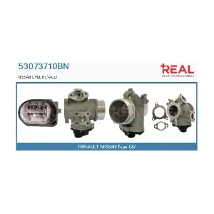 REAL 53073710BN