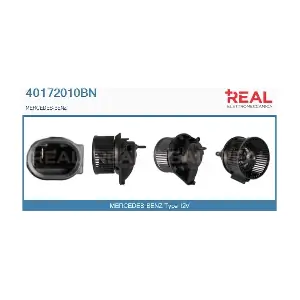 40172010BN REAL