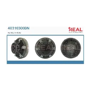 40316300BN REAL