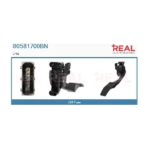 80581700BN REAL