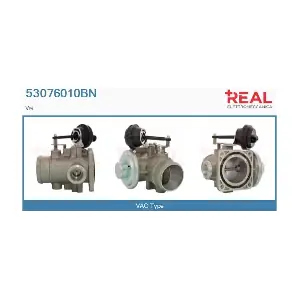 53076010BN REAL