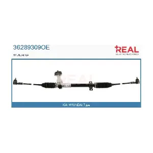 36289309OE REAL