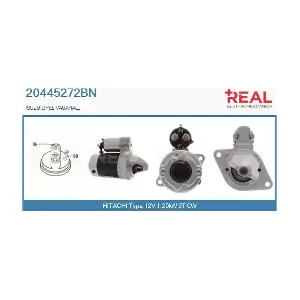REAL 20445272BN