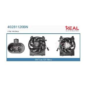 40281120BN REAL