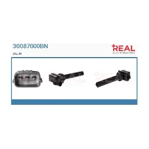 30087600BN REAL