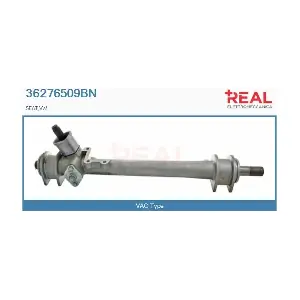 REAL 36276509BN