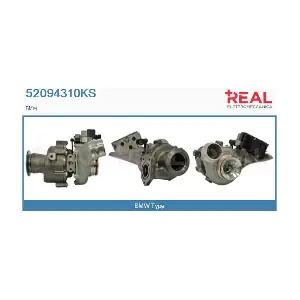 52094310KS REAL