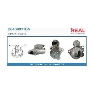 20460811BN REAL