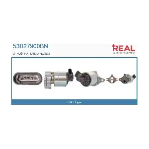 REAL 53027900BN