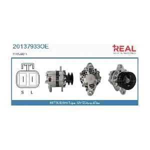 20137933OE REAL