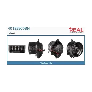 40182900BN REAL