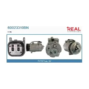 60023310BN REAL
