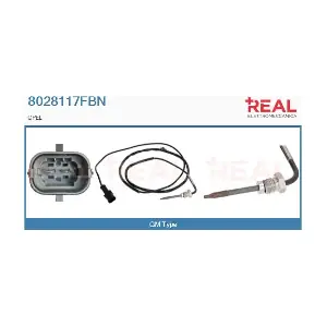 8028117FBN REAL