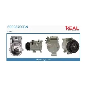 REAL 60036700BN