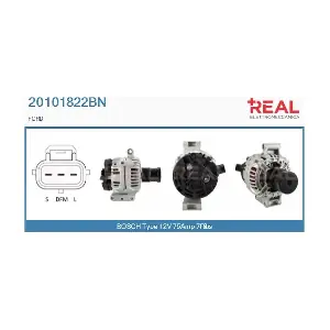 REAL 20101822BN