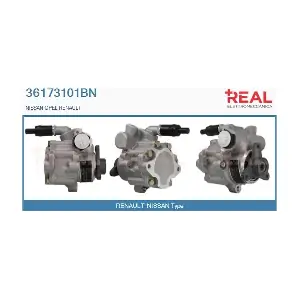 36173101BN REAL