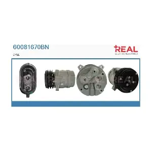 60081670BN REAL
