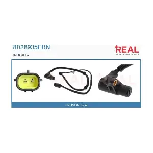 8028935EBN REAL
