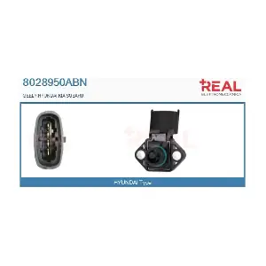 8028950ABN REAL