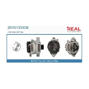 REAL 20101333OE