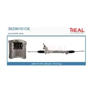 REAL 36290101OE
