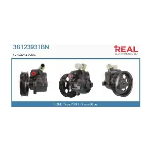 36123931BN REAL