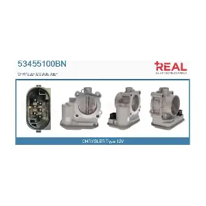 REAL 53455100BN