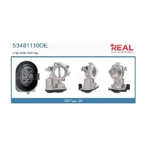 53481110OE REAL