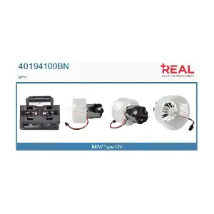 40194100BN REAL