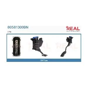 80581300BN REAL