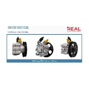 36181031OE REAL