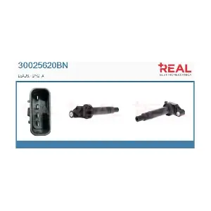 REAL 30025620BN