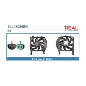 40223020BN REAL