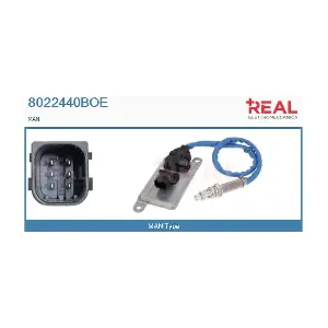 8022440BOE REAL