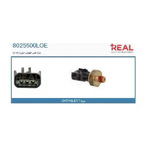 8025500LOE REAL